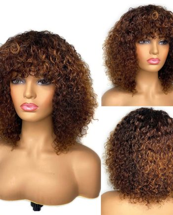 Curly Short Human Hair Wig