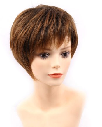 Highlights Short Straight Non-Lace Synthetic Hair Wig